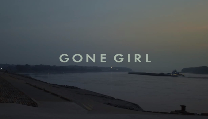 Gone Girl4 - Gone Girl và sự ngu xuẩn của những kẻ yêu điên dại
